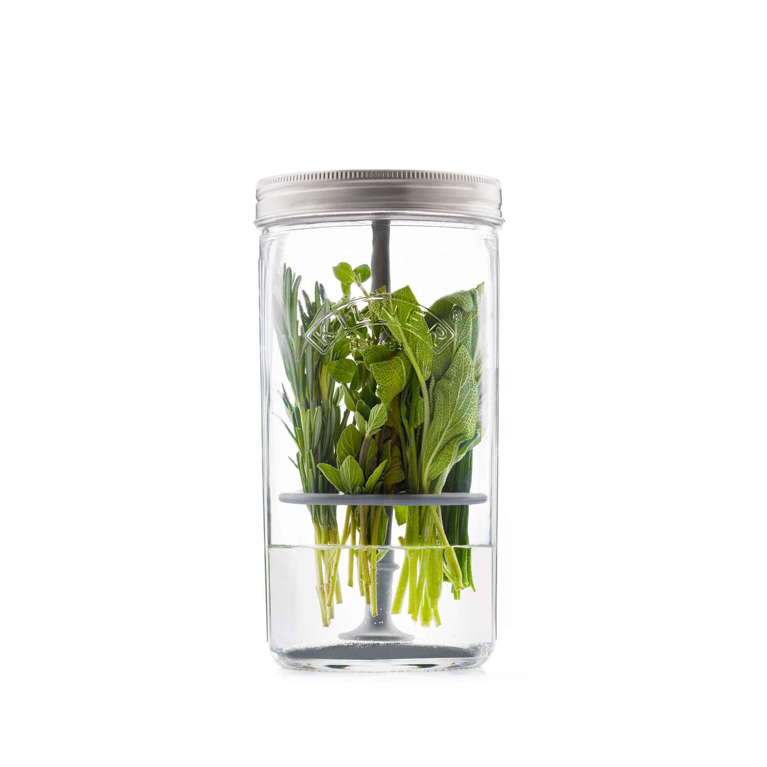 KILNER | Kräuter-Frischhalteglas, HERBS, klar, 1 L
