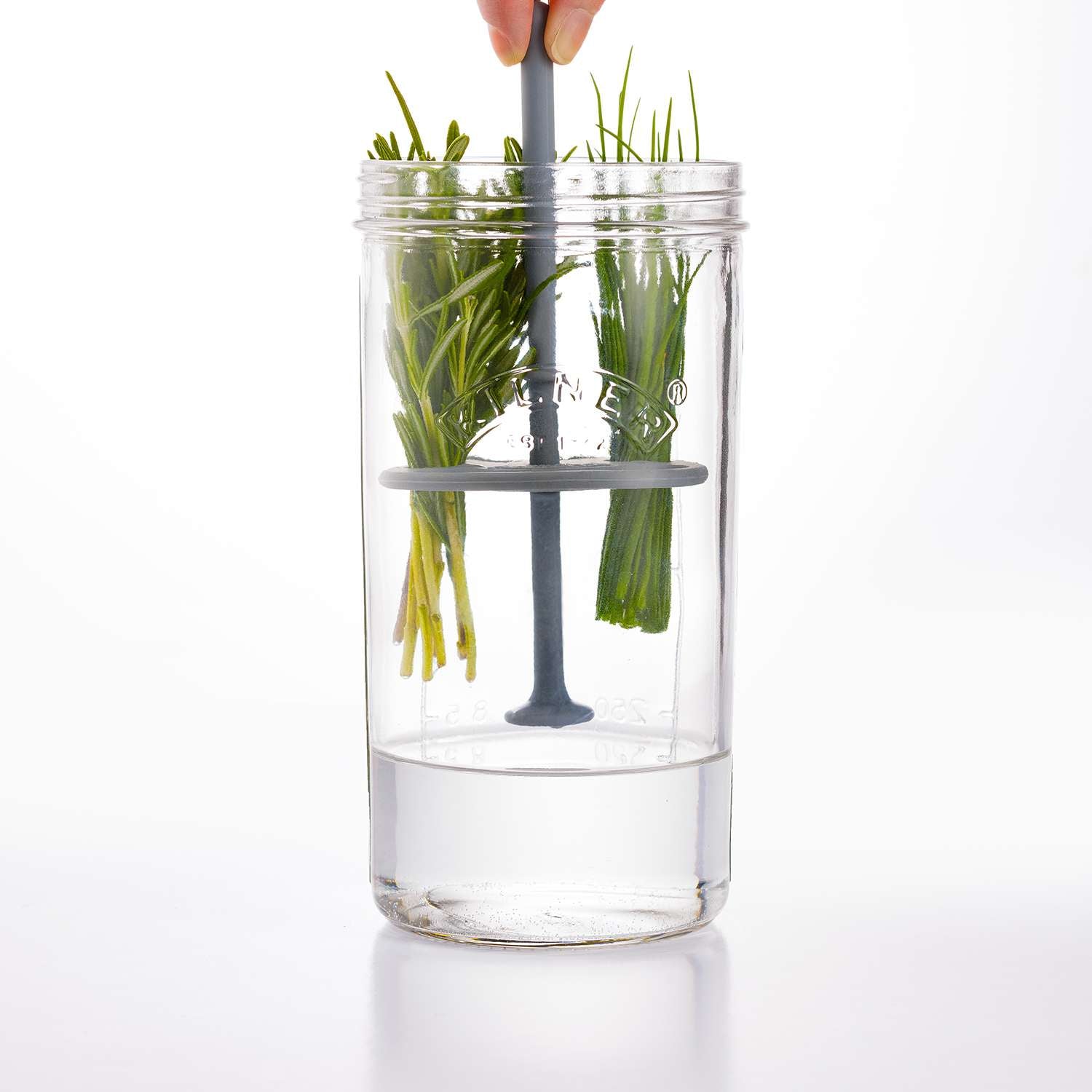 KILNER | Kräuter-Frischhalteglas, HERBS, klar, 1 L