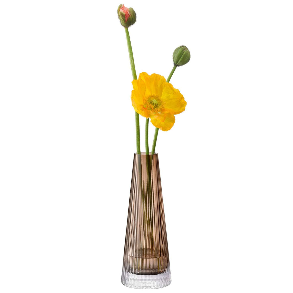 LSA | Candle holder, BEACON, brown, H22 cm