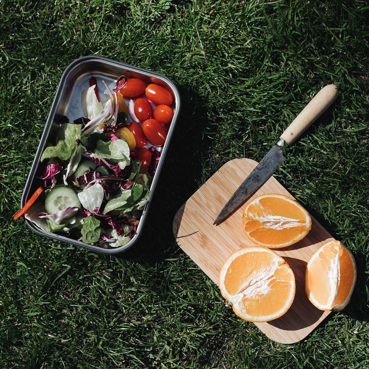 BLACK+BLUM | Lunchbox, Sandwich, olive, 900 ML